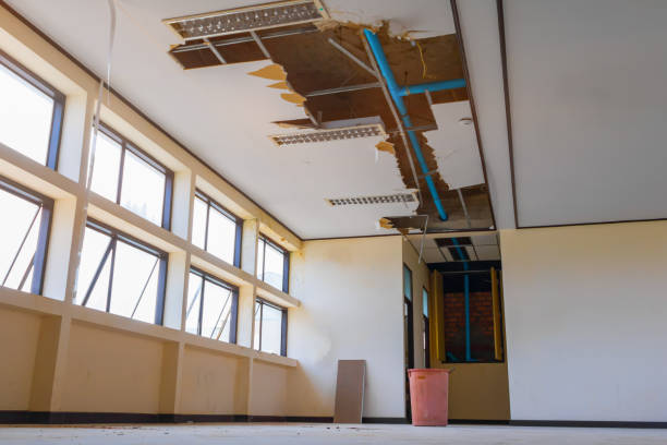 Best Mold removal after water damage  in Palmetto Estates, FL