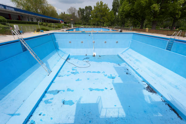 Best Local water damage restoration  in Palmetto Estates, FL