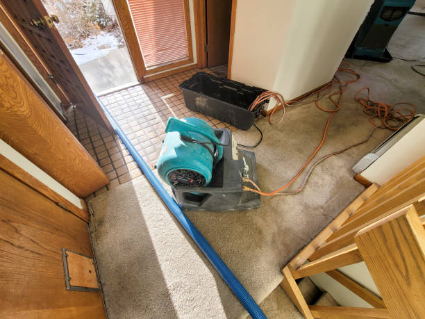 Best Emergency water extraction  in Palmetto Estates, FL