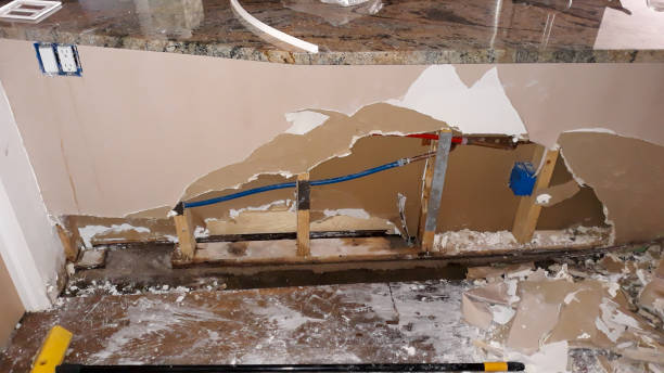 Best Carpet water damage restoration  in Palmetto Estates, FL