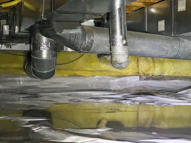 Best Basement water damage restoration  in Palmetto Estates, FL