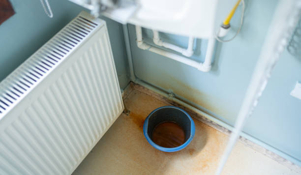 Best Commercial water damage restoration  in Palmetto Estates, FL