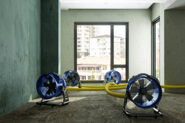 Best Ceiling water damage repair  in Palmetto Estates, FL