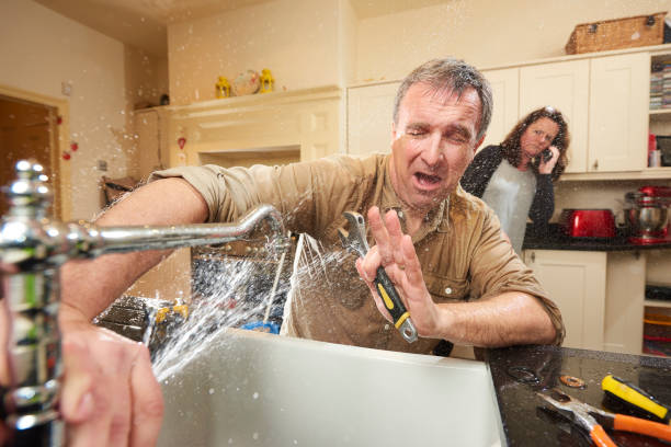 Best Local water damage restoration  in Palmetto Estates, FL
